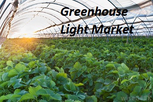 Greenhouse Light Market