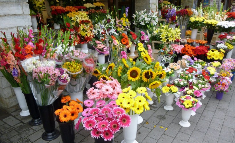 Floriculture Market