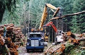 Forestry And Logging
