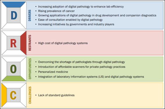 digital-pathology-market6