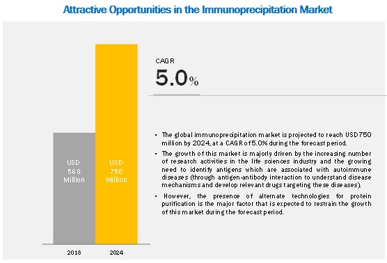 immunoprecipitation-market