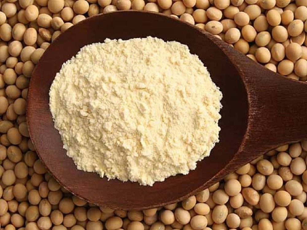 Soy-protein-isolate-isolated-soy-protein-ISP