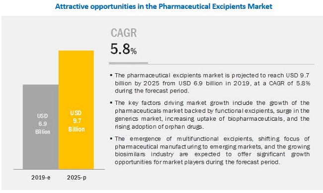 pharmaceutical-excipient-market3