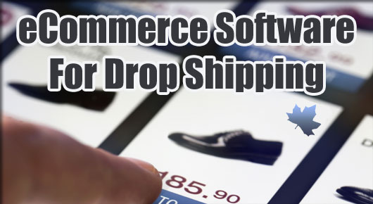 Drop Shipping Software Market