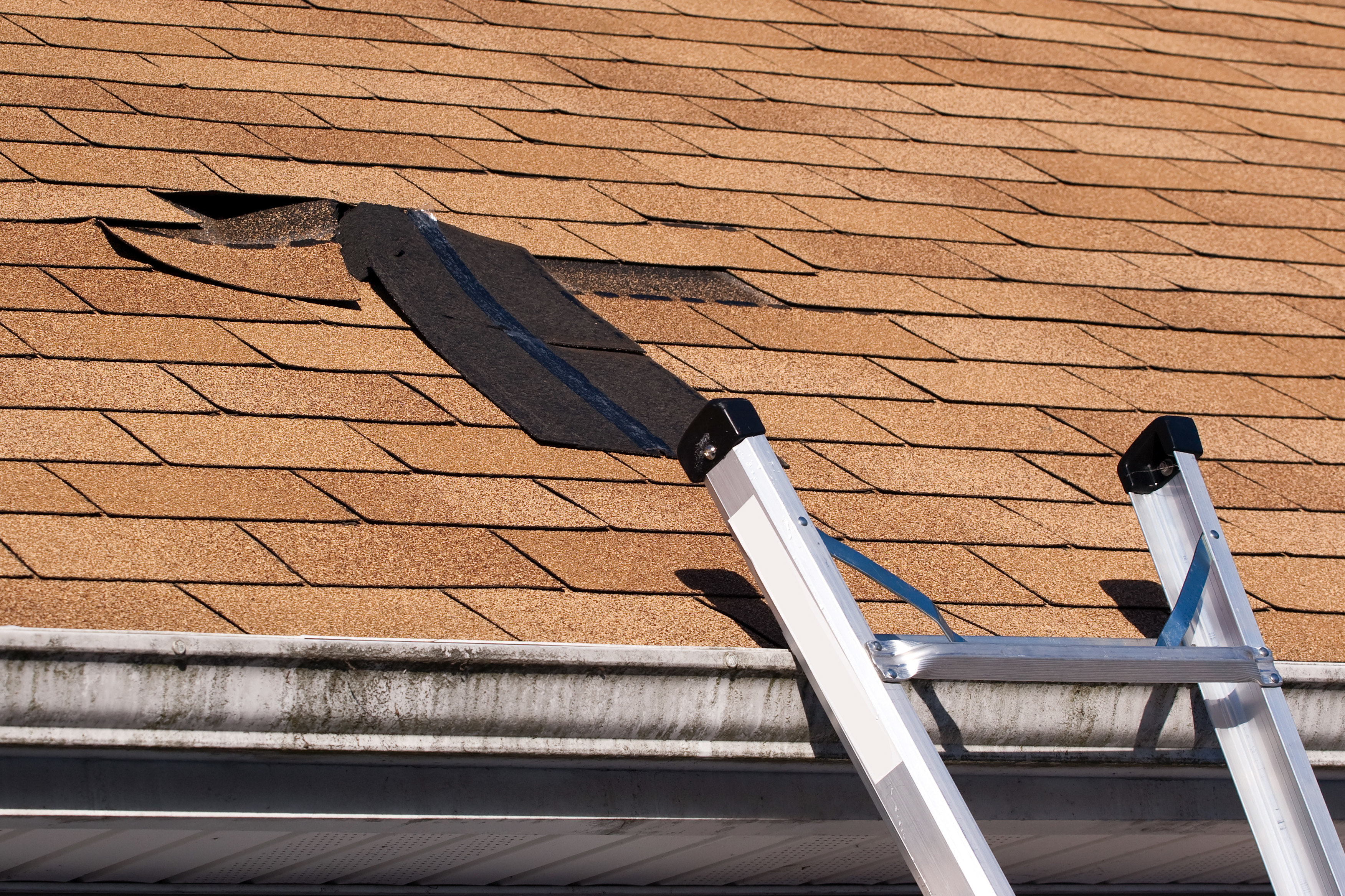 spring-roof-maintenance