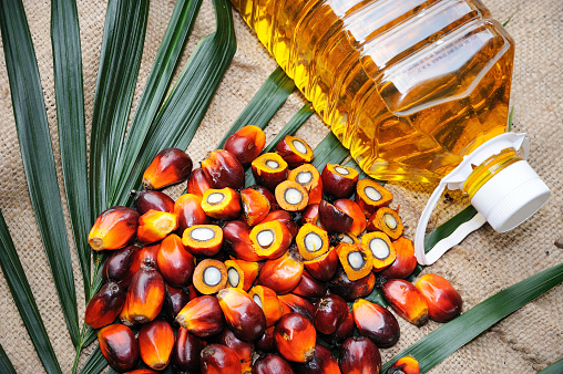 Palmölmarkttrends, regionaler Ausblick, Wachstum, Hauptakteure (Godrej Agrovet Limited, Kulim BHD, Sime Darby) mit steigender Nachfrage – iCrowdnewswire German