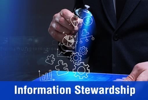 Information Stewardship Application Market