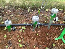Soil Water Moisture Sensors