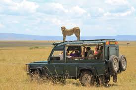 Adventure And Safari