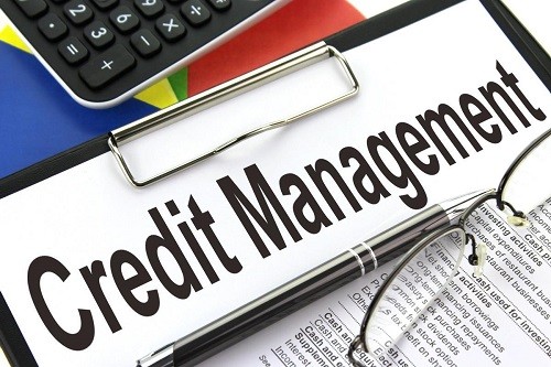 Credit Management Software