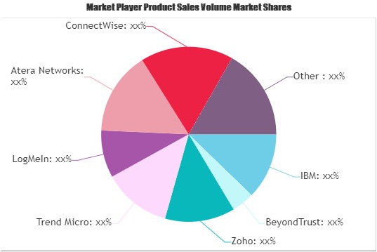Patch Manager Software Market
